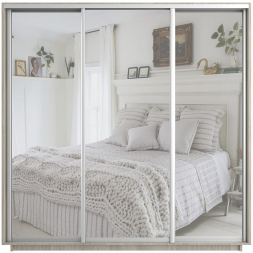 Шкаф-купе Экспресс 3-х дверный ( Зеркало) Ясень шимо светлый