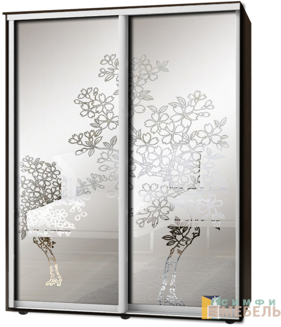Шкаф-купе 2х дв Стандарт Пескоструй фон матовый № 85