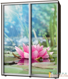 Шкаф-купе 2х дв Стандарт Фотопечать № 76