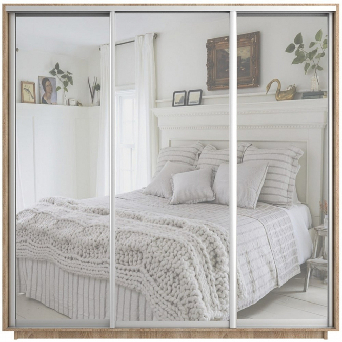 Шкаф-купе Экспресс 3-х дверный ( Зеркало) Сонома