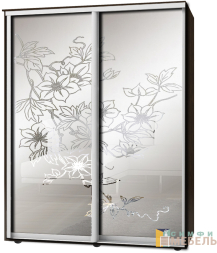 Шкаф-купе 2х дв Стандарт Пескоструй фон матовый № 86