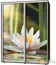 Шкаф-купе 2х дв Стандарт Фотопечать № 77