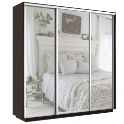 Шкаф-купе Экспресс 3-х дверный ( Зеркало) Венге