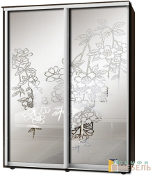 Шкаф-купе 2х дв Стандарт Пескоструй фон матовый № 87