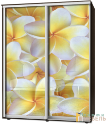 Шкаф-купе 2х дв Стандарт Фотопечать № 78