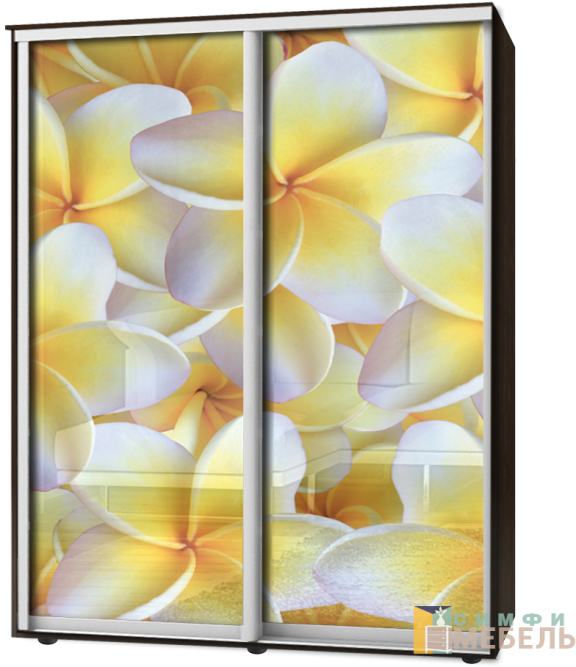 Шкаф-купе 2х дв Стандарт Фотопечать № 78