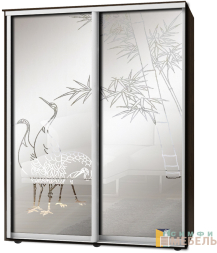 Шкаф-купе 2х дв Стандарт Пескоструй фон матовый № 88