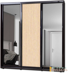 Шкаф купе 3х дв Комби 1 Венге светлый|Зеркало-2