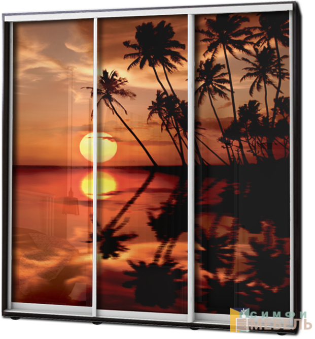 Шкаф купе 3х дв Фотопечать № 50