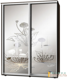 Шкаф-купе 2х дв Стандарт Пескоструй фон матовый № 89