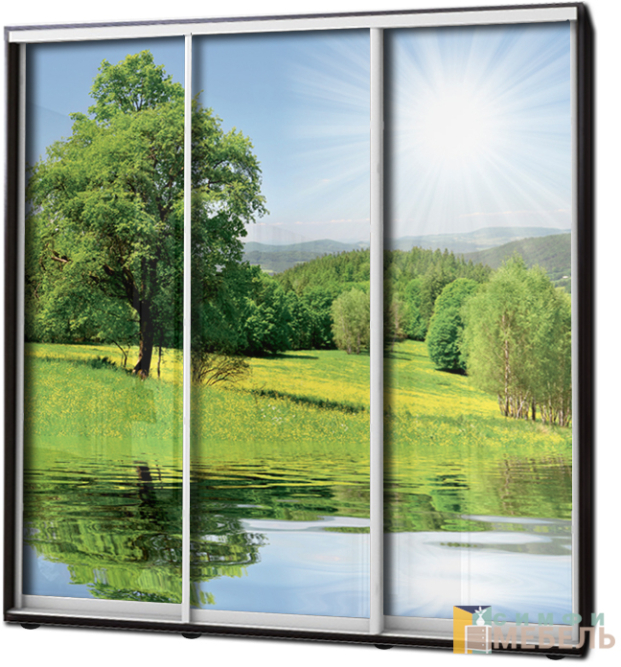 Шкаф купе 3х дв Фотопечать № 51