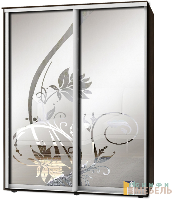 Шкаф-купе 2х дв Стандарт Пескоструй фон матовый № 90
