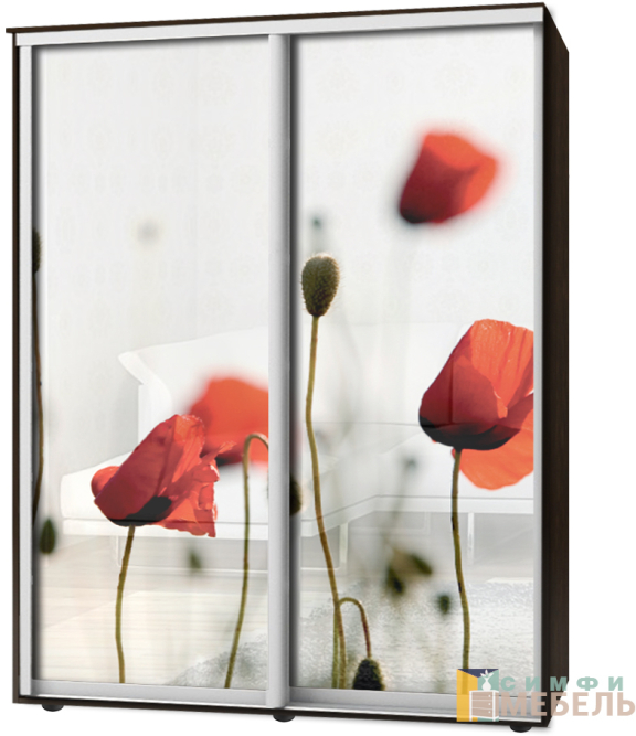 Шкаф-купе 2х дв Стандарт Фотопечать № 81