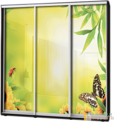 Шкаф купе 3х дв Фотопечать № 52