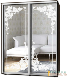 Шкаф-купе 2х дв Стандарт Пескоструй № 55