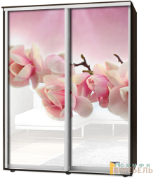 Шкаф-купе 2х дв Стандарт Фотопечать № 82