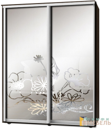 Шкаф-купе 2х дв Стандарт Пескоструй фон матовый № 92