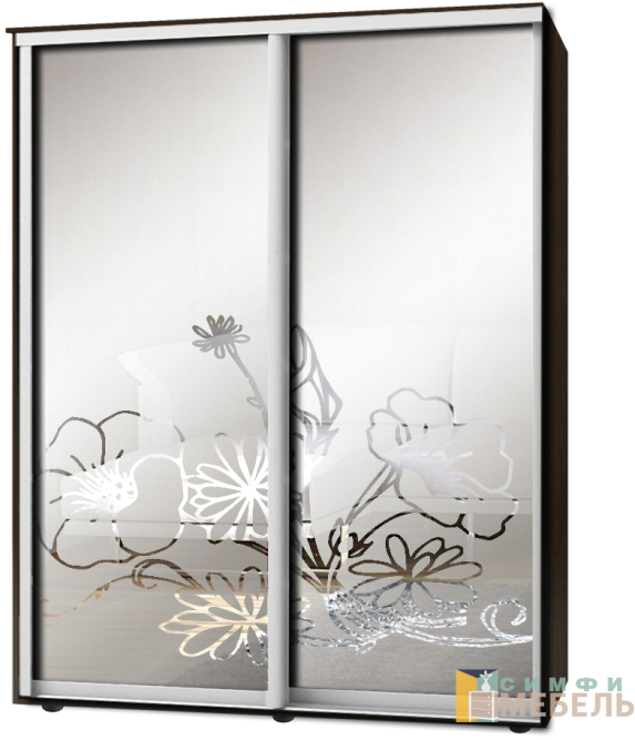 Шкаф-купе 2х дв Стандарт Пескоструй фон матовый № 92