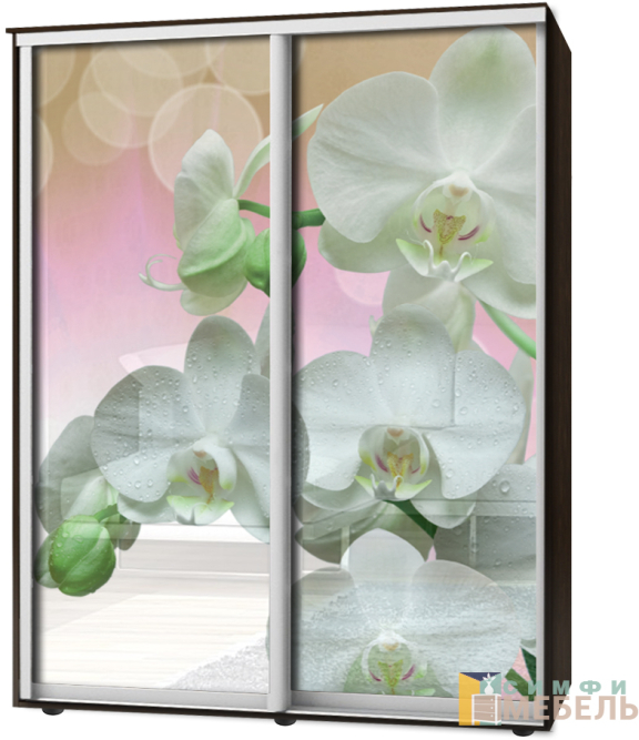 Шкаф-купе 2х дв Стандарт Фотопечать № 83