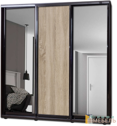 Шкаф купе 3х дв Комби 1 Дуб сонома|Зеркало-2