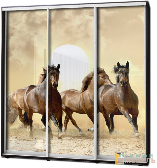 Шкаф купе 3х дв Фотопечать № 54