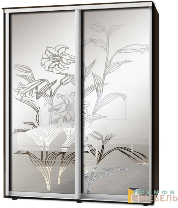 Шкаф-купе 2х дв Стандарт Пескоструй фон матовый № 93