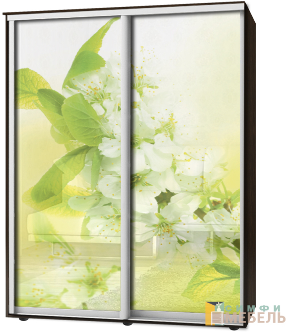 Шкаф-купе 2х дв Стандарт Фотопечать № 84