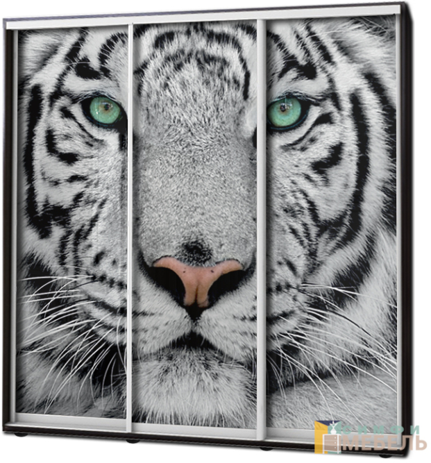 Шкаф купе 3х дв Фотопечать № 55