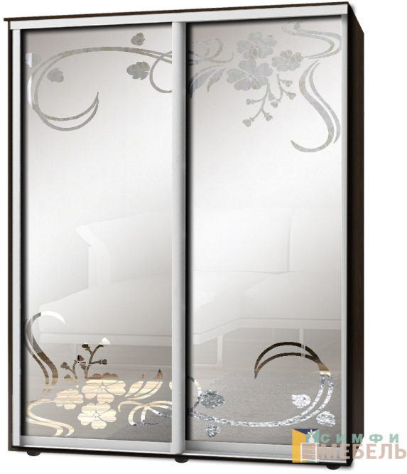 Шкаф-купе 2х дв Стандарт Пескоструй фон матовый № 94