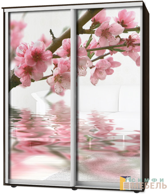 Шкаф-купе 2х дв Стандарт Фотопечать № 85