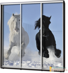 Шкаф купе 3х дв Фотопечать № 56