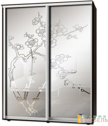 Шкаф-купе 2х дв Стандарт Пескоструй фон матовый № 95