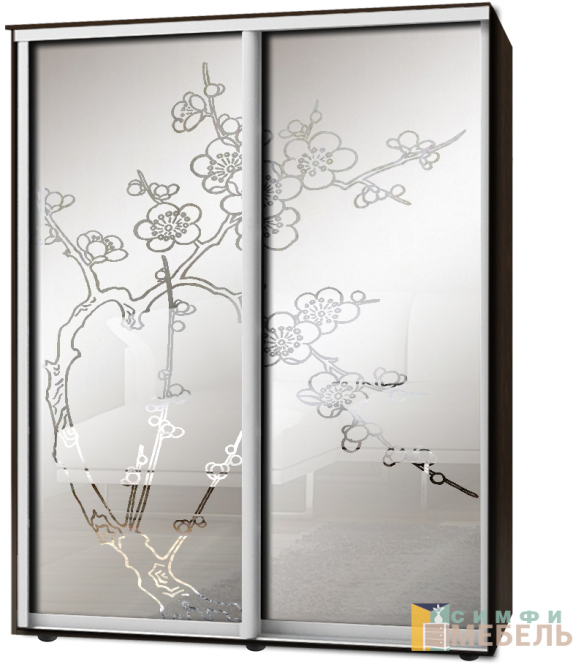 Шкаф-купе 2х дв Стандарт Пескоструй фон матовый № 95