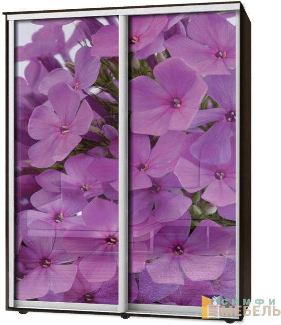 Шкаф-купе 2х дв Стандарт Фотопечать № 86