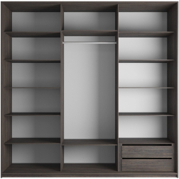 Шкаф-купе Эста 3-х дверный Комби (Стекло Лабиринт, Стекло белое) Венге Мали