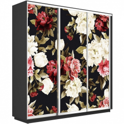 Шкаф-купе Экспресс 3-х дверный (Фото №1020 Пионы)