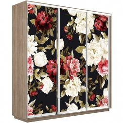 Шкаф-купе Экспресс 3-х дверный (Фото №1020 Пионы)