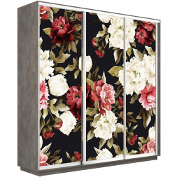 Шкаф-купе Экспресс 3-х дверный (Фото №1020 Пионы)