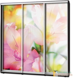 Шкаф купе 3х дв Фотопечать № 57