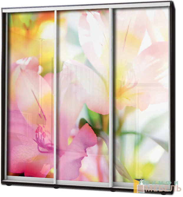 Шкаф купе 3х дв Фотопечать № 57