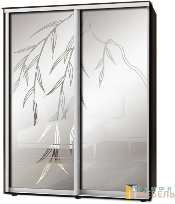Шкаф-купе 2х дв Стандарт Пескоструй фон матовый № 96