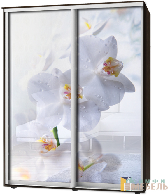 Шкаф-купе 2х дв Стандарт Фотопечать № 87