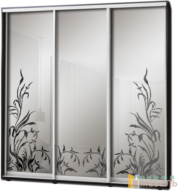 Шкаф купе 3х дв Пескоструй фон матовый № 6