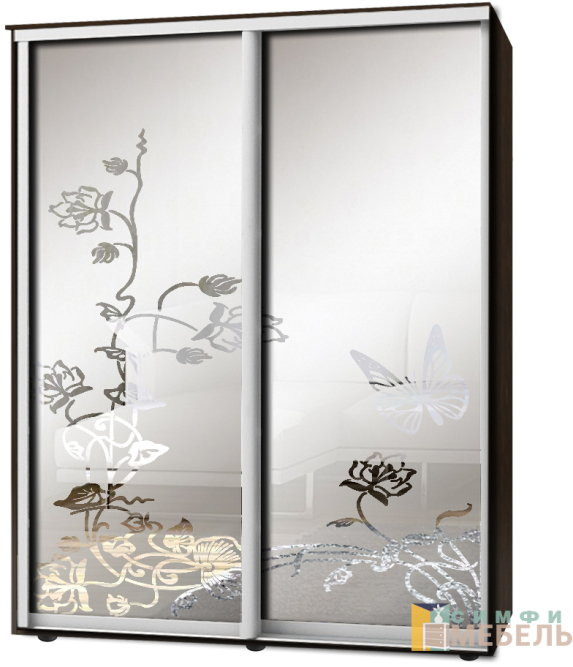 Шкаф-купе 2х дв Стандарт Пескоструй фон матовый № 97