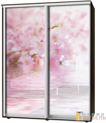 Шкаф-купе 2х дв Стандарт Фотопечать № 88