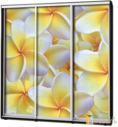 Шкаф купе 3х дв Фотопечать № 59