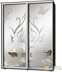 Шкаф-купе 2х дв Стандарт Пескоструй фон матовый № 98