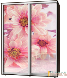 Шкаф-купе 2х дв Стандарт Фотопечать № 89