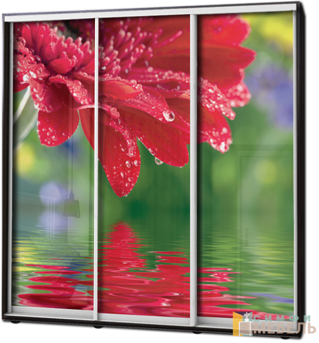 Шкаф купе 3х дв Фотопечать № 60