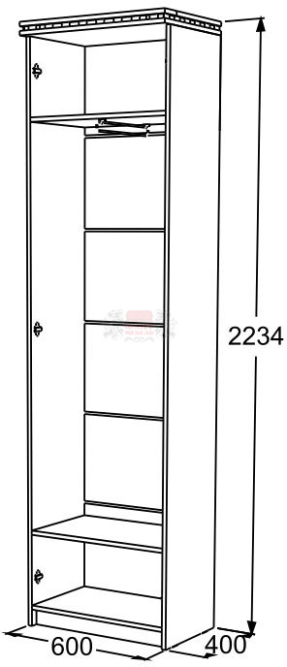 Шкаф для одежды Ольга 13 №2